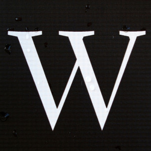 letter w