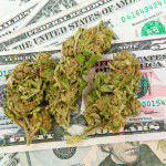 Buzz Kill – No Bankruptcy Relief for Marijuana Grower