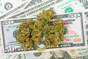 marijuana and bankuptcy